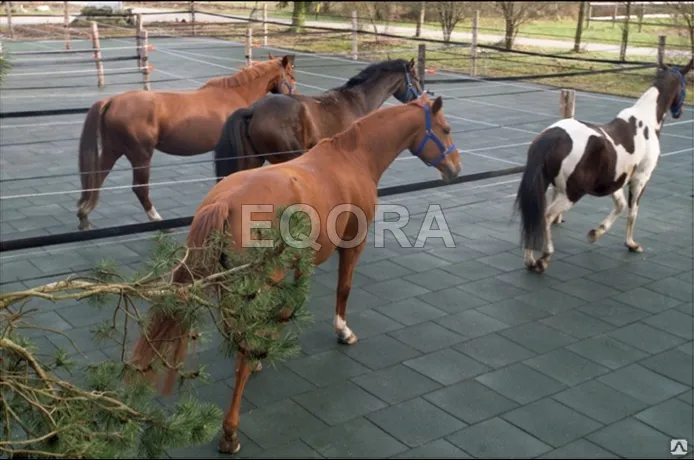 Маты из резиновой крошки для конюшни в Жуковском